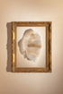Crystal_Shadows_5598610-165855-6KF_closeup_shot1.png