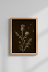 Dandelions_Insects_9007634-172001-0P0_closeup_shot1.png