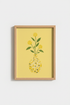 DiscoLemon_3691698_mockup1_closeup.png