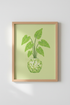 DiscoLime_2444634_mockup1_closeup.png