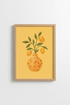 DiscoOrange_3666466_mockup1_closeup.png