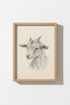 DonkeyHead_PencilSketch_9408990-172001-0P0_closeup_shot1.png