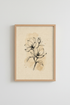 Dove_Sketch_9936201-172001-0P0_closeup_shot1.png