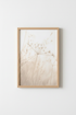 DriedGrass_122018-171242-QKY_closeup_shot1.png