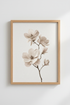 DriedHydrangea_114367-171242-QKY_closeup_shot1.png
