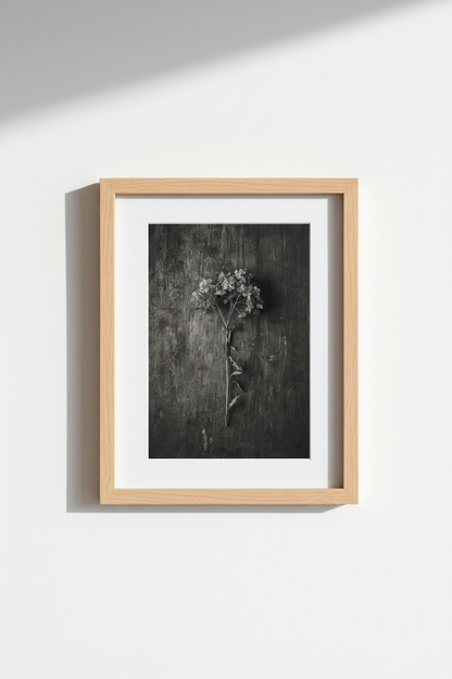 Dried_Herbs_Poster_9718987_mockup1_closeup.png