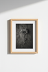 Dried_Herbs_Poster_9718987_mockup1_closeup.png