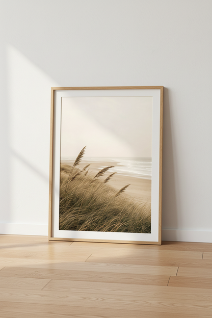 DuneScape_Grasses_6564847-185601-EXY_floor_shot3.png