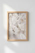 DustyMiller_Leaves_121923-171242-QKY_closeup_shot1.png