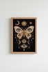 EyesAndLipsArt_1175909-010235-XP5_closeup_shot1.png