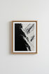 FeatherArt_BlackAndWhite_8004219-150642-9F5_closeup_shot1.png