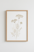 Wildflower Botanical Sketch | Neutral Beige Minimalist, Bedroom Living Room Wall Art
