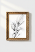 Feather_BlackAndWhite_0011142-165855-6KF_closeup_shot1.png
