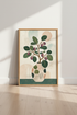 Abstract Botanical Fruit Art Print | Japandi Vase Poster | Modern Boho Living Room Decor
