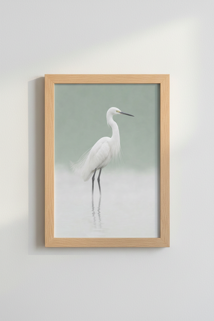 Flamingos_9460705-171242-QKY_closeup_shot1.png