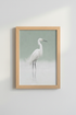 Flamingos_9460705-171242-QKY_closeup_shot1.png