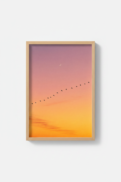 FlockOfBirds_Sunset_127438-171242-QKY_closeup_shot1.png