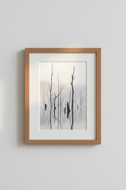 FloodedForest_5957582-171242-QKY_closeup_shot1.png