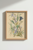 FlowerStudy_Pastel_2683484-233932-F42_closeup_shot1.png