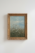 Flowering_Trees_9550497-175017-JFD_closeup_shot1.png