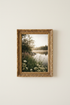 ForestPath_Wildflowers_9708506-174937-798_closeup_shot1.png