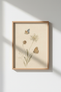 FourButterflies_1710253-224935-GIF_closeup_shot1.png