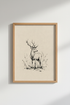 Fox_Sketch_1234042-172001-0P0_closeup_shot1.png