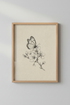 FramedSwanDrawing_3335477-172001-0P0_closeup_shot1.png