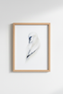 Gannets_CloseUp_120814-171242-QKY_closeup_shot1.png