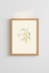 GarlicGal_2302846_mockup1_closeup.png