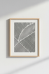 GeometricLines_3949882-135132-RWO_closeup_shot1.png