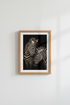 GiraffeNuzzle_3470714-171242-QKY_closeup_shot1.png