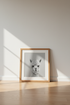 Alpaca in Cabinet Art | Funny Black and White Photography, Bathroom Decor