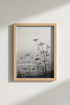 Nature Photo Wall Art Print | Minimalist Black & White Landscape, Living Room Decor