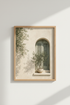 GreenDoor_OliveTree_8070481-171238-3ZJ_closeup_shot1.png
