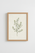 GreenPlantIllustration_6088137-224833-9PV_closeup_shot1.png