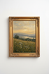 Green_Hills_Meadow_4265265-075257-M91_closeup_shot1.png