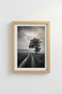 Moody Nature Wall Art Print | Black and White Foggy Tree Decor | Moody Desktop Poster