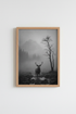HighlandCow_Fog_9734943_mockup1_closeup.png