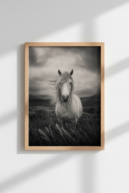 Horse Photography Print | Moody Wild Horse Poster, Monochrome Farmhouse Wall Art