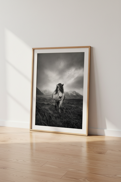 Highland_Cows_9725687_mockup2_floor.png