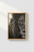 HorseEye_CloseUp_255459-171209-S1U_closeup_shot1.png
