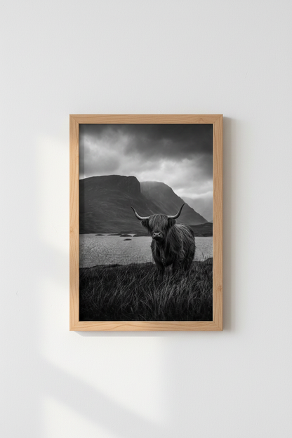 Highland Cow Art Print | Rustic Black and White Photography, Moody Farmhouse Decor
