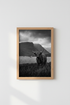 Highland Cow Art Print | Rustic Black and White Photography, Moody Farmhouse Decor