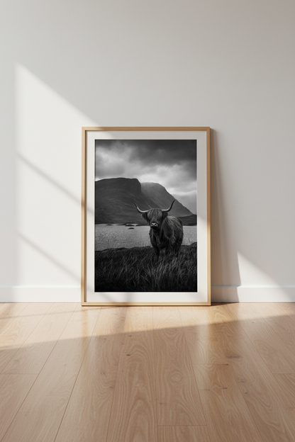 Highland Cow Art Print | Rustic Black and White Photography, Moody Farmhouse Decor
