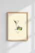 HotSauce_Bottles_5108732_mockup1_closeup.png