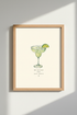 HotSauce_Tabasco_5108732_mockup1_closeup.png