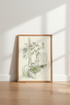 Botanical Still Life | Minimalist Sage Green Sketch, Kitchen & Office Decor