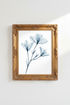 HydrangeaSkeleton_0904469-165855-6KF_closeup_shot1.png