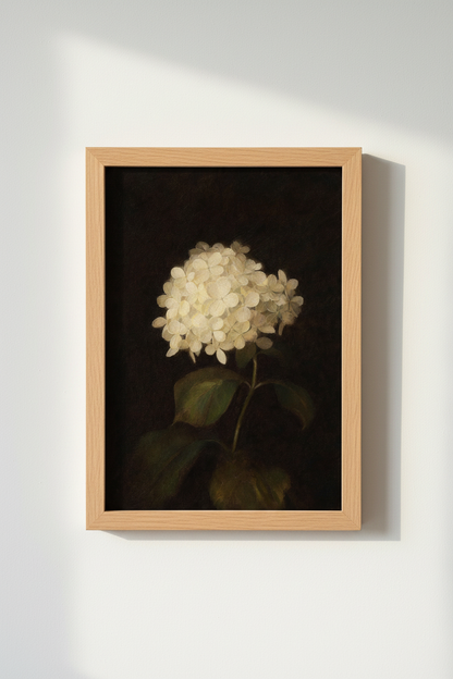 Hydrangea_4512793-224833-9PV_closeup_shot1.png